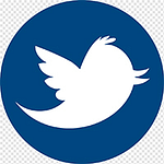 fstsecurity icon twitter